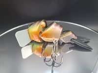 Image 8 of Ambition Lures- Choke Hazard 