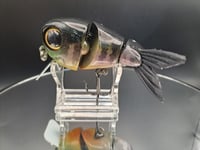 Image 6 of Ambition Lures- Choke Hazard 