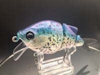 Image 1 of Ambition Lures- Lil Gill