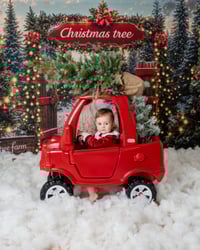 Image 2 of ASN/SEN Christmas Mini's - Saturday 1st November