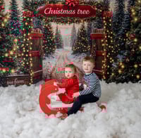 Image 4 of ASN/SEN Christmas Mini's - Saturday 1st November