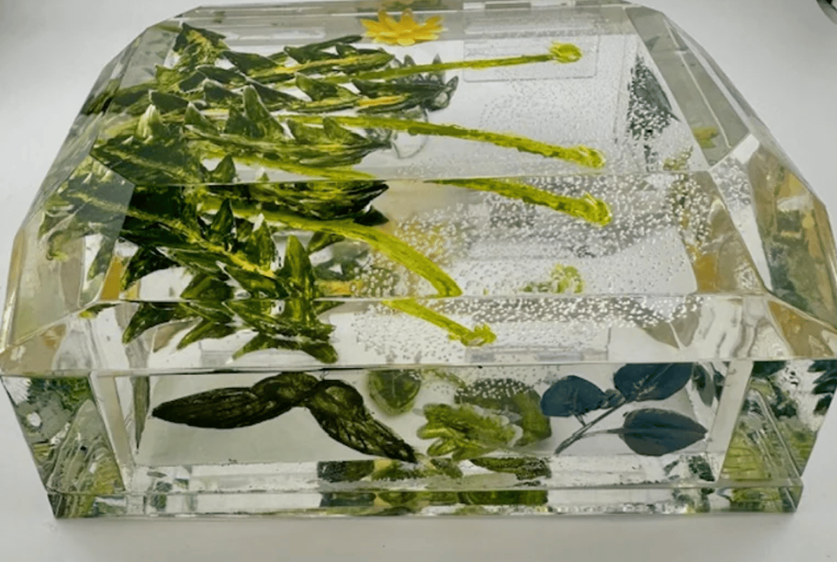 Image of Painted Desk Boxes- Wild Strrawberries or Meadow Flowers