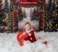 Image 2 of ASN/SEN Christmas Mini's - Sunday 9th November