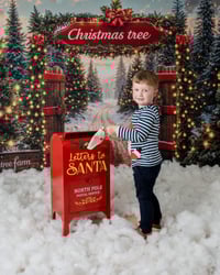 Image 4 of ASN/SEN Christmas Mini's - Monday 17th November