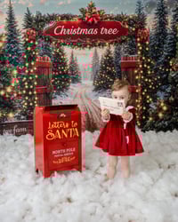 Image 1 of Christmas Mini's - Sunday 26th October