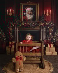 Image 3 of Christmas Mini's - Sunday 26th October