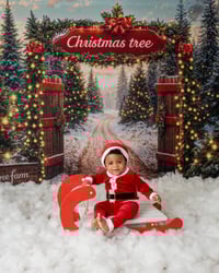 Image 2 of Christmas Mini's - Sunday 26th October