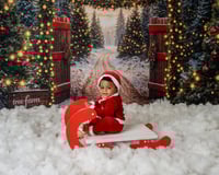 Image 4 of Christmas Mini's - Saturday 15th November