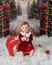 Image 1 of Christmas Mini's - Saturday 15th November