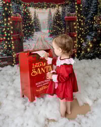 Image 1 of Christmas Mini's - Friday 14th November