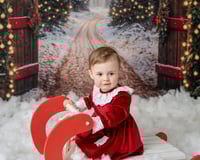 Image 3 of Christmas Mini's - Friday 14th November