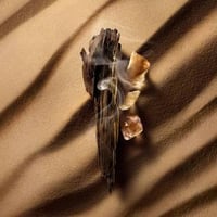 Image 2 of Ombre Nomade LV