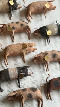Image 2 of Spun Cotton Pigs (multiple single options available)