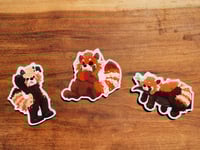 Image 1 of Red Panda Magnets