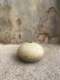 Image 1 of bud vase (white speckle)