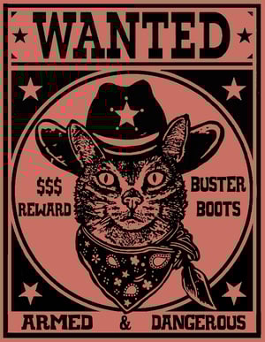 Image of BUSTER BOOTS
