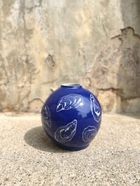 Image 2 of moon jar (blue oysters)