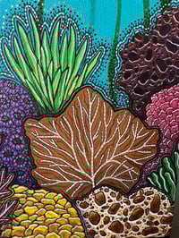 Image 2 of Rainforest of the Sea