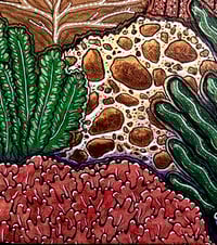 Image 4 of Rainforest of the Sea