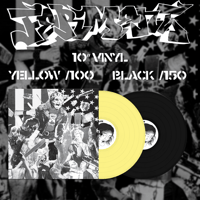 FERMENT EP 10" VINYL