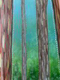 Image 3 of Rainbow Eucalyptus