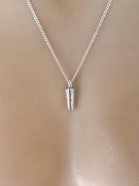 Image 1 of Pint Charm