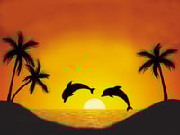 Image 1 of Paint Dolphin Sunset at Edgeworth Sport and Rec Club Saturday 23rd August 2.30pm