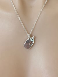Image 1 of Detergent Charm