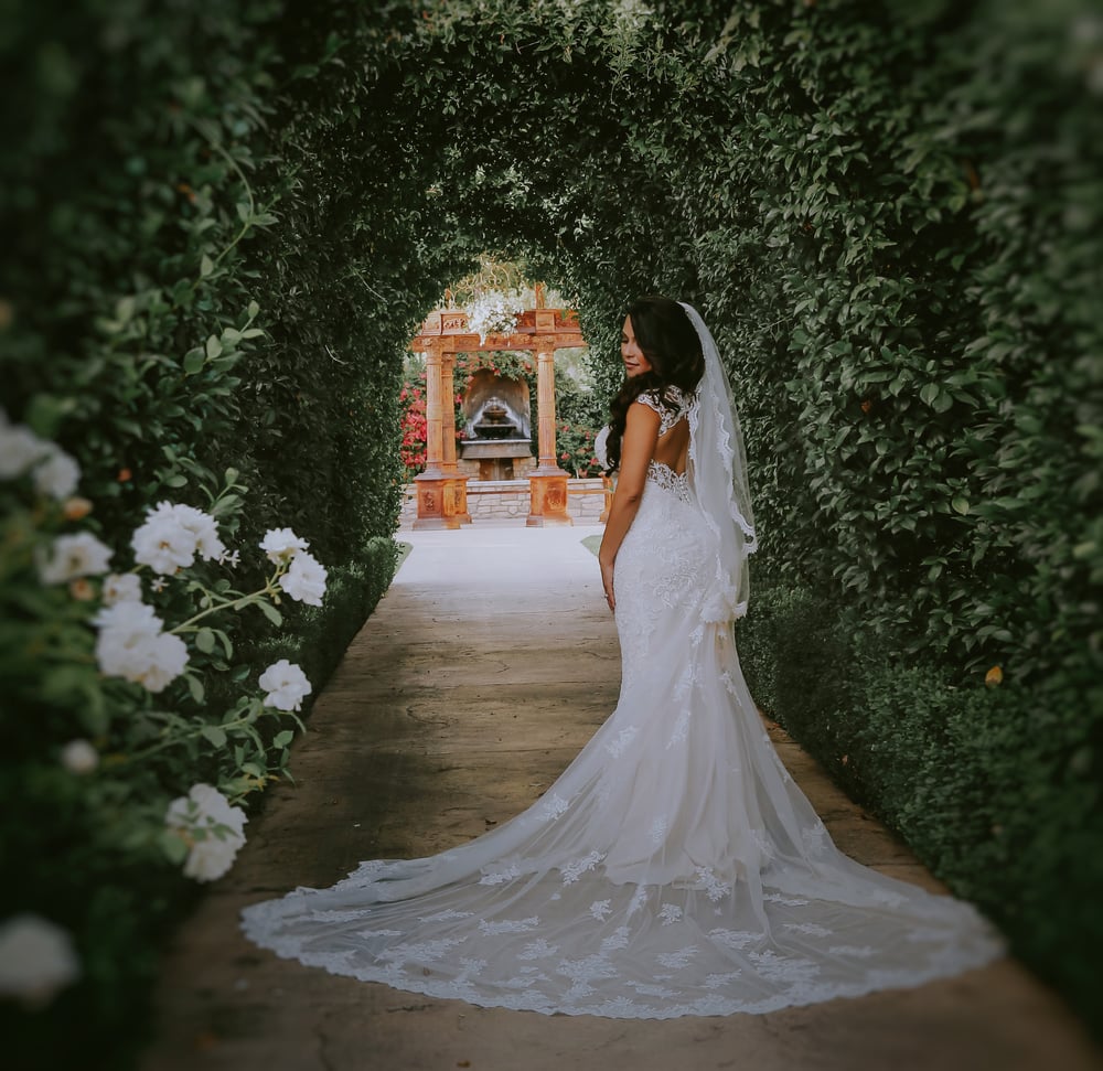 Image of WEDDINGS