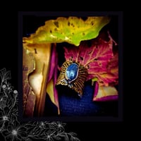 Image 2 of ☽ SerpenteS Arcana I ☾