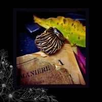 Image 3 of ☽ SerpenteS Arcana I ☾