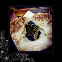 Image 4 of ☽ SerpenteS Arcana I ☾
