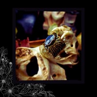 Image 5 of ☽ SerpenteS Arcana I ☾