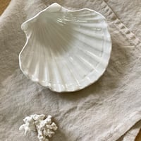 Image 1 of LES COQUILLAGES