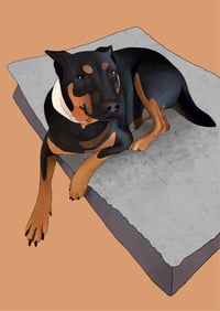 Image 4 of Digital Pet Portrait Service