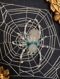 Image 2 of Cape May Diamond Spider
