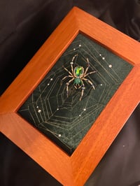 Image 1 of Spider Box