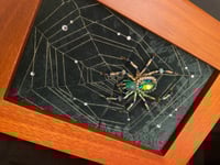 Image 5 of Spider Box