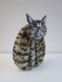 Image 3 of Tabby Cat
