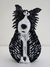 Image 1 of Border Collie