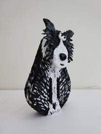 Image 2 of Border Collie