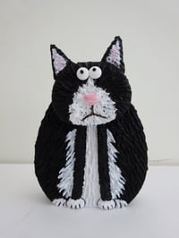 Image 1 of Black and White Cat