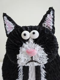Image 2 of Black and White Cat