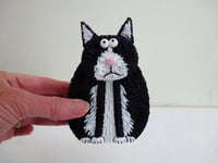 Image 4 of Black and White Cat