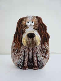 Image 1 of Italian Spinone
