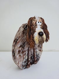 Image 2 of Italian Spinone