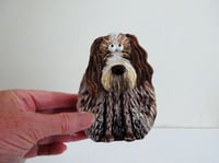 Image 4 of Italian Spinone