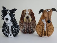 Image 5 of Italian Spinone