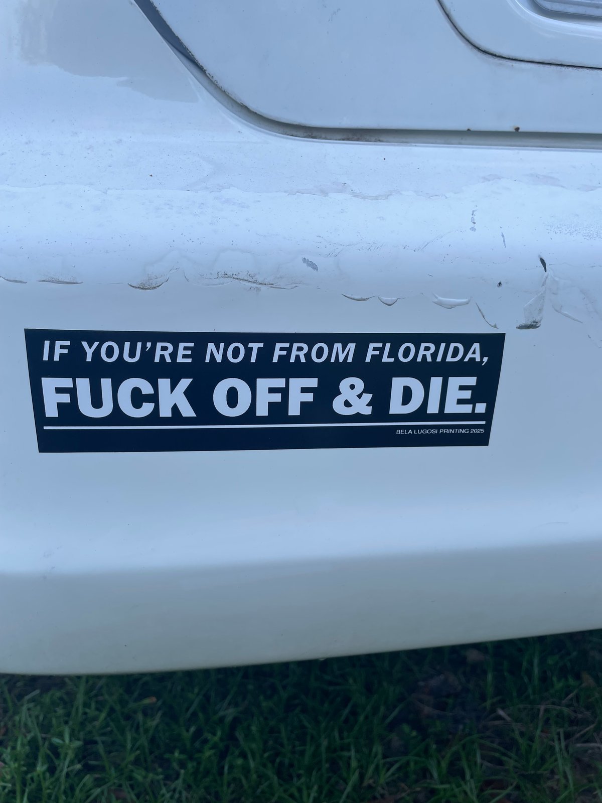 Image of FLORIDA STICKER