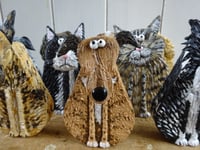 Image 5 of Greyhound